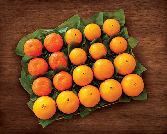 Florida Citrus, Florida Oranges, navel