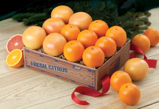 Temple Oranges & Grapefruit