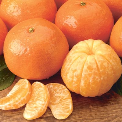 Florida Tangerines