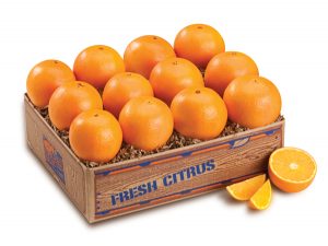 Florida Orange Gift