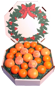 Citrus Christmas Wreath Gift