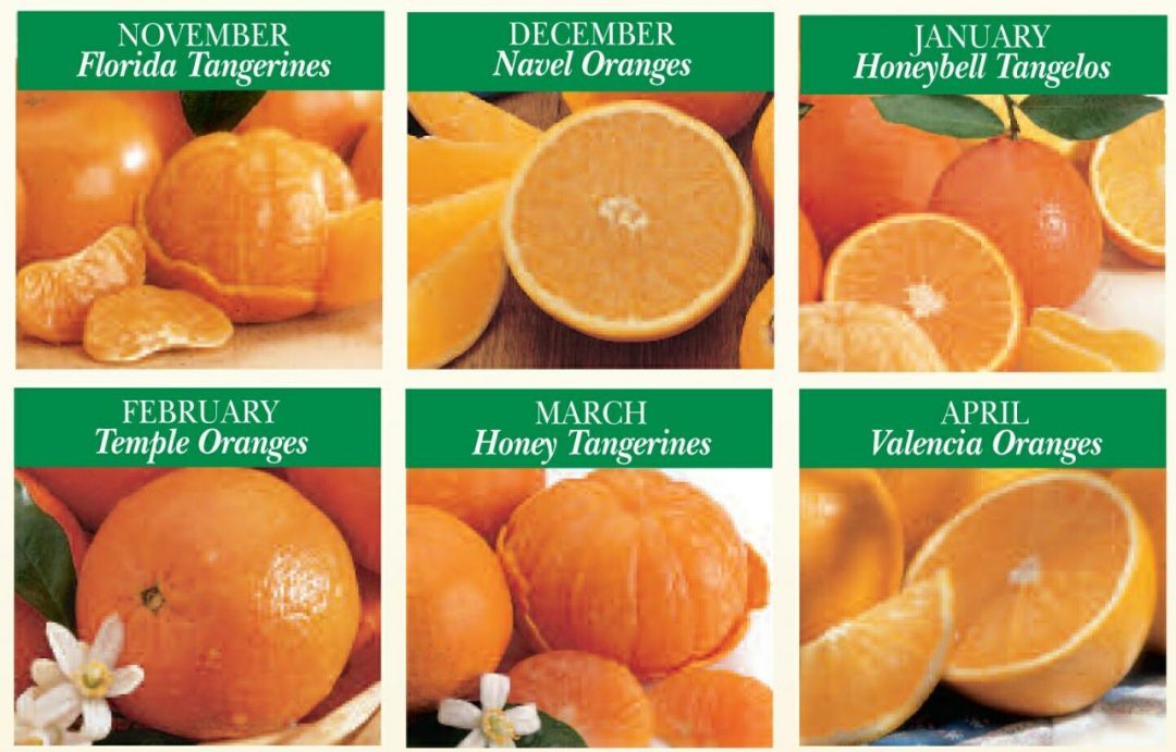 mandarin orange vs clementine vs tangerine