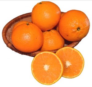 Florida Ortanique Oranges